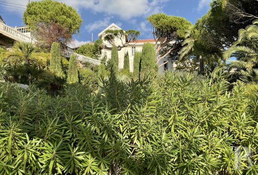 À Marseille, au cœur du Roucas-Blanc, une villa du 19ème siècle et ses spectaculaires jardins et rocailles dominant la corniche - photo  n°19